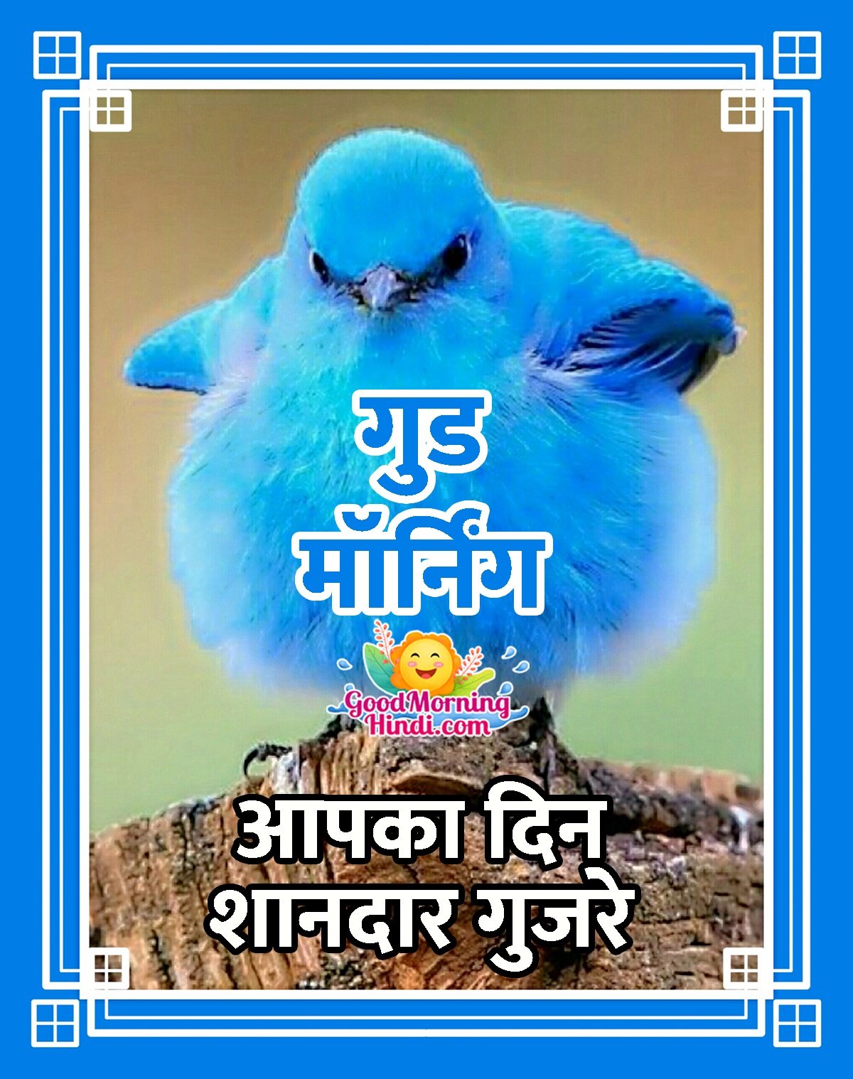 Good Morning Bird Image