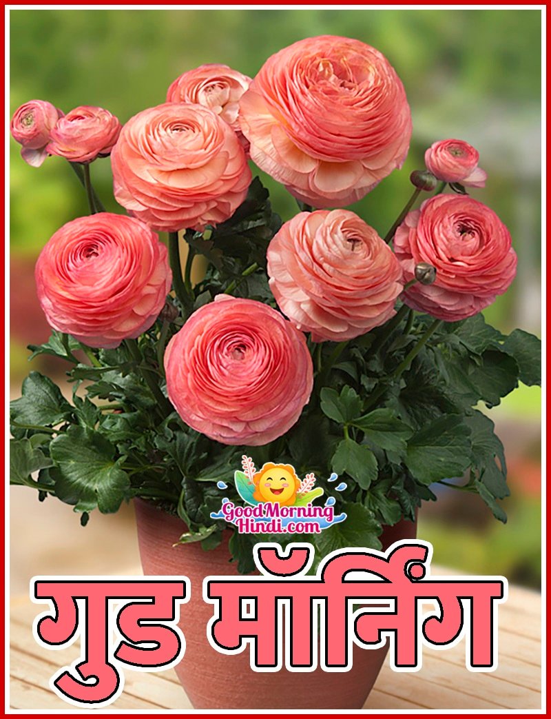 Good Morning Hindi Bouquet