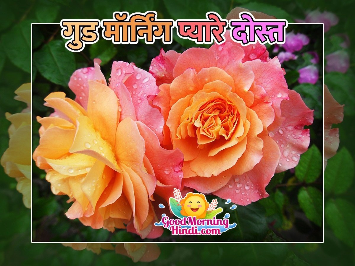 Good Morning Pyare Dosto Pic