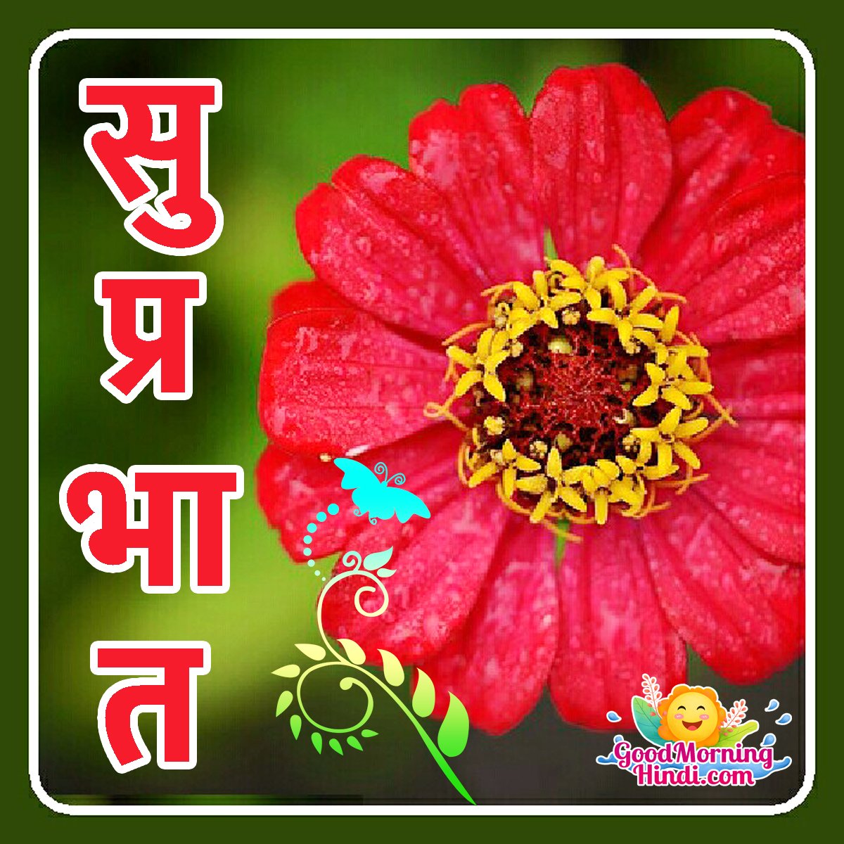 Good Morning Hindi Flowers Images