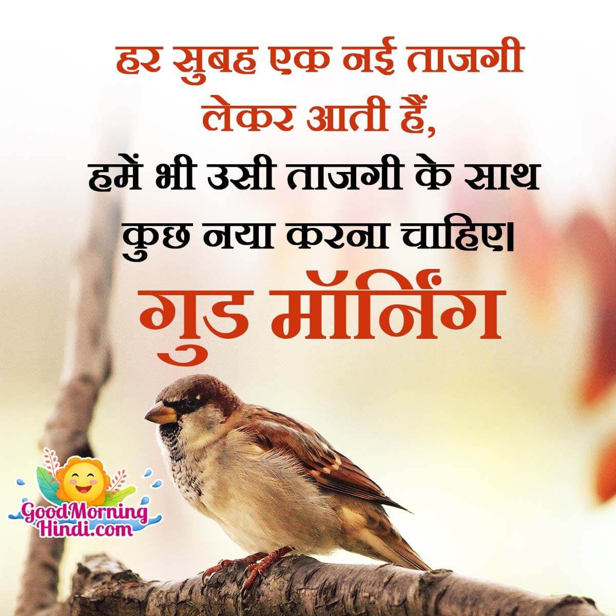 Inspirational Good Morning Messages In Hindi - Good Morning Wishes ...