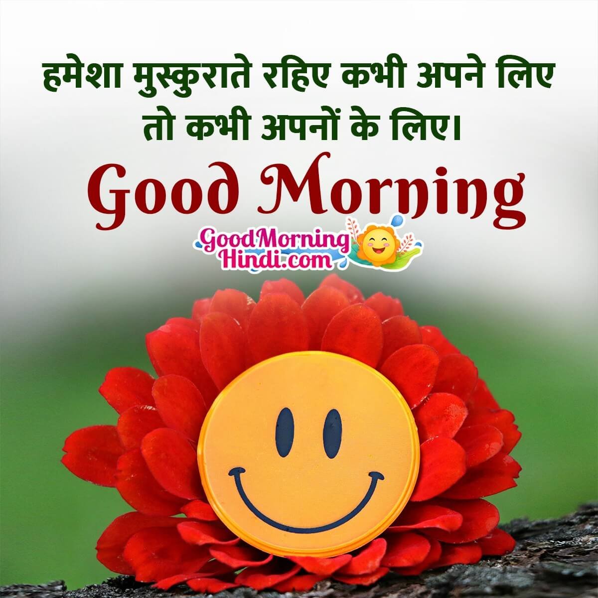 Best Good Morning Wishes In Hindi - Good Morning Wishes & Images ...