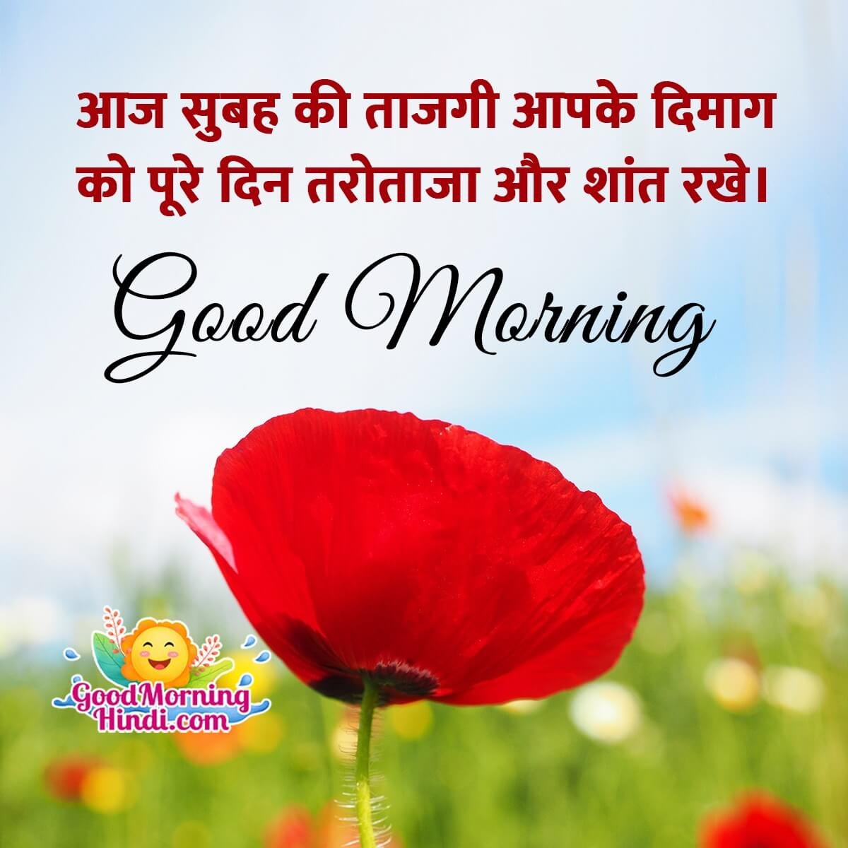 Best Good Morning Wishes In Hindi - Good Morning Wishes & Images ...