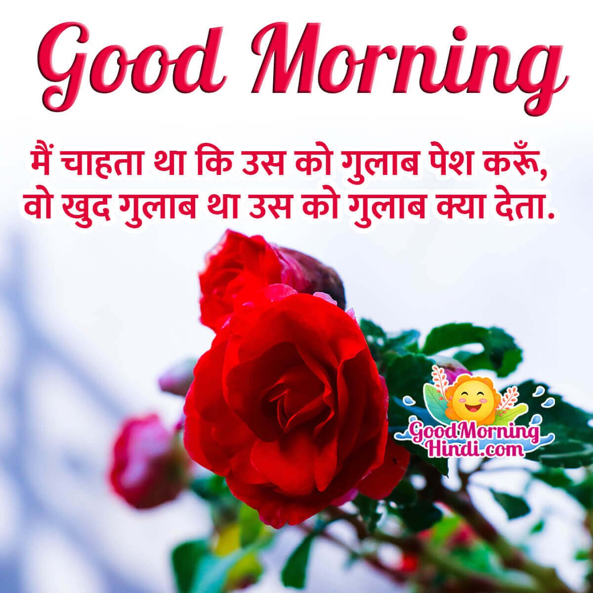 Hindi Good Morning Rose Shayari