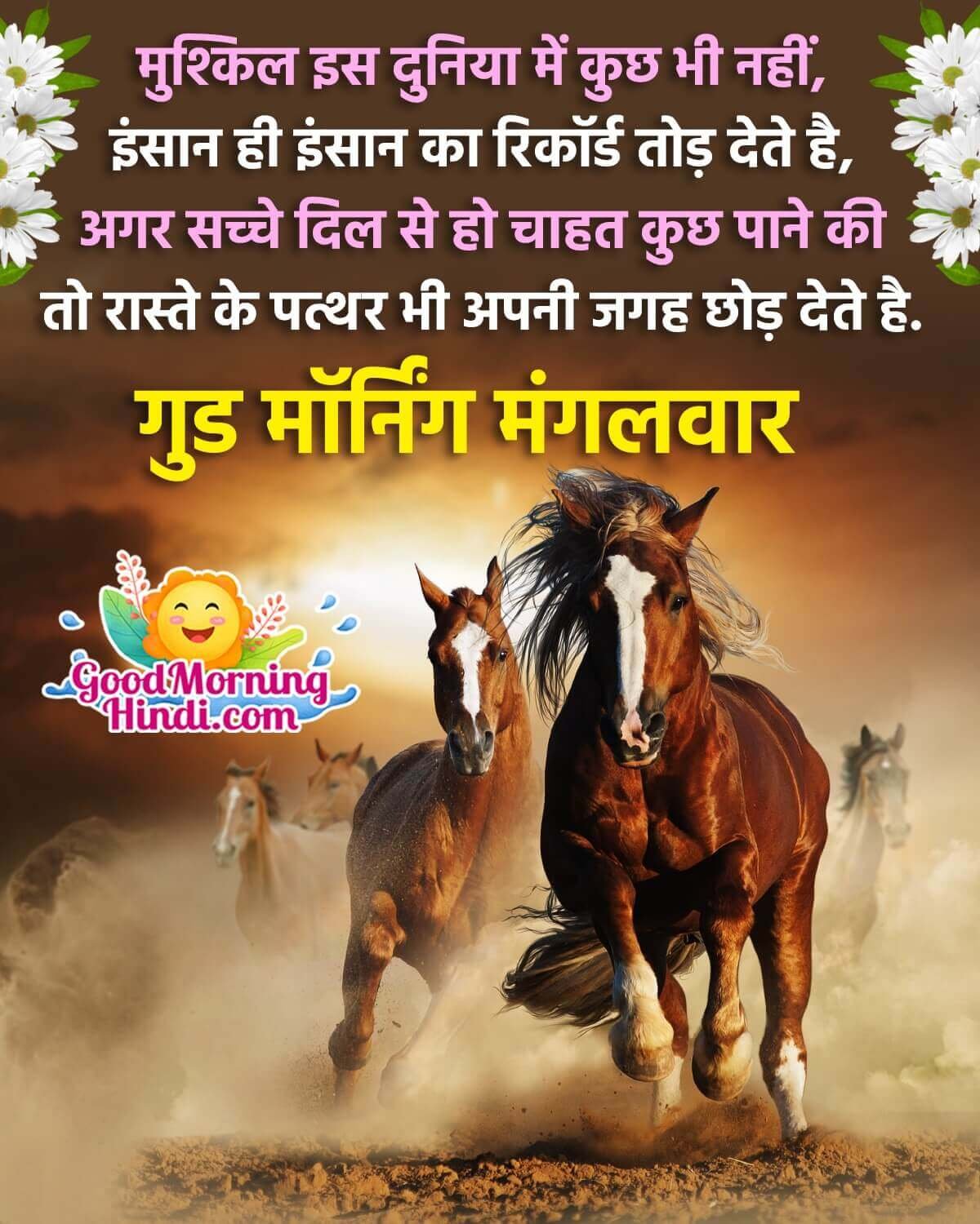 Good Morning Tuesday Hindi Shayari Photo